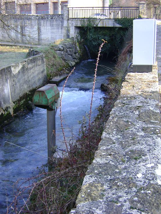 Foto Araia